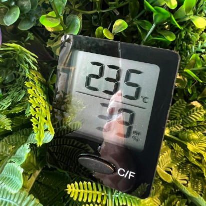 Yugen Hygrometer Temperature Humidity Meter