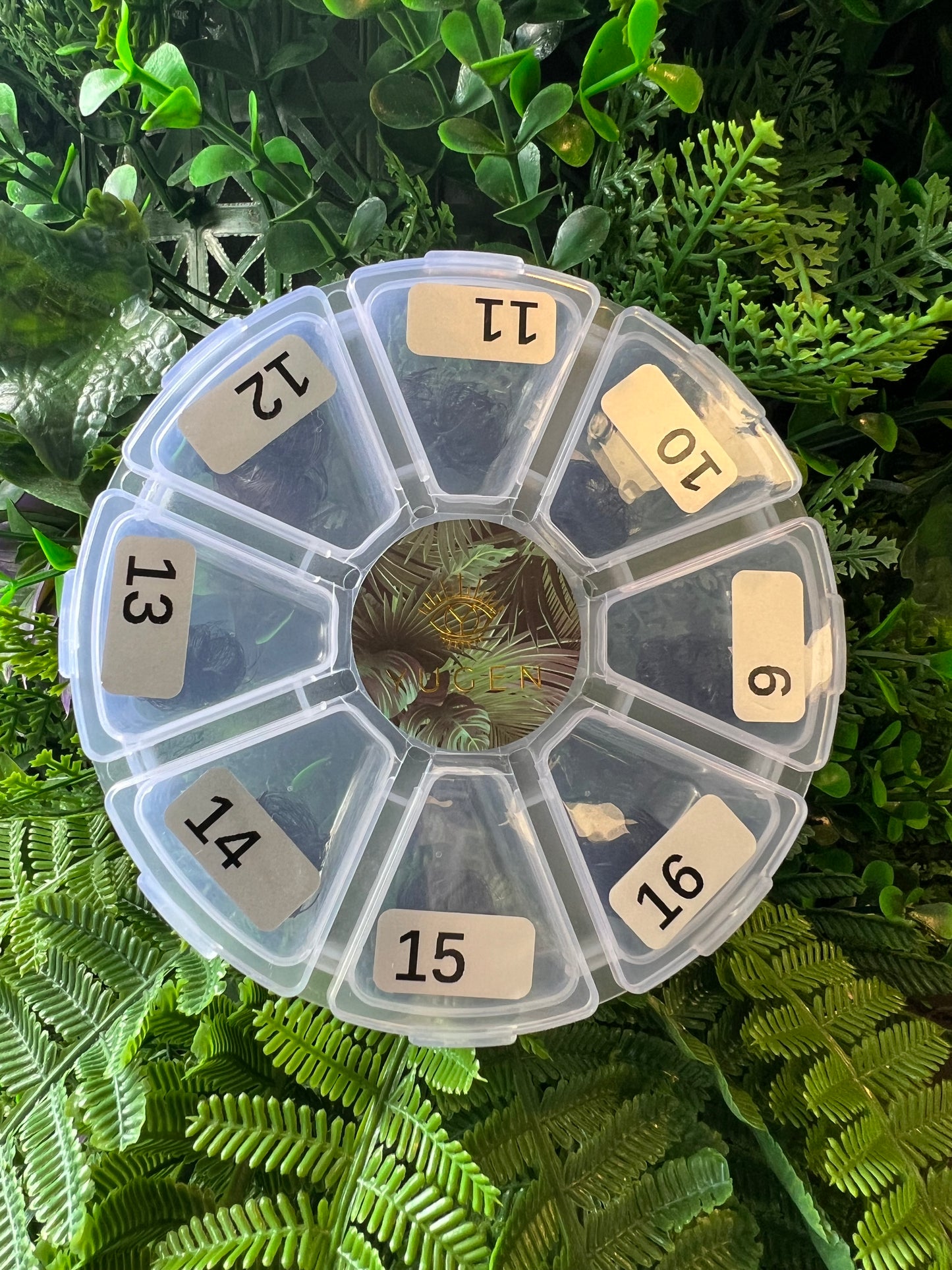Yugen PROMADE wheel: 1000 D curl fans (10D)